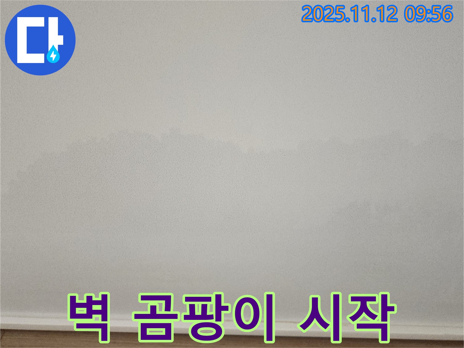 포천 소흘읍 벽 곰팡이 - 긴급 점검!