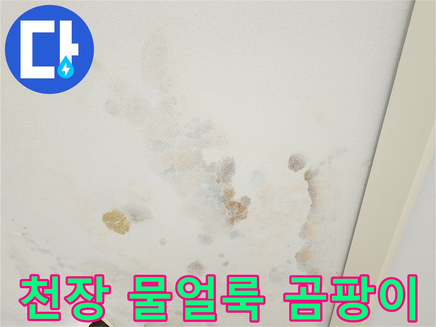 포천 소흘읍 아파트 천장에 발생한 누수 흔적과 곰팡이 상태
