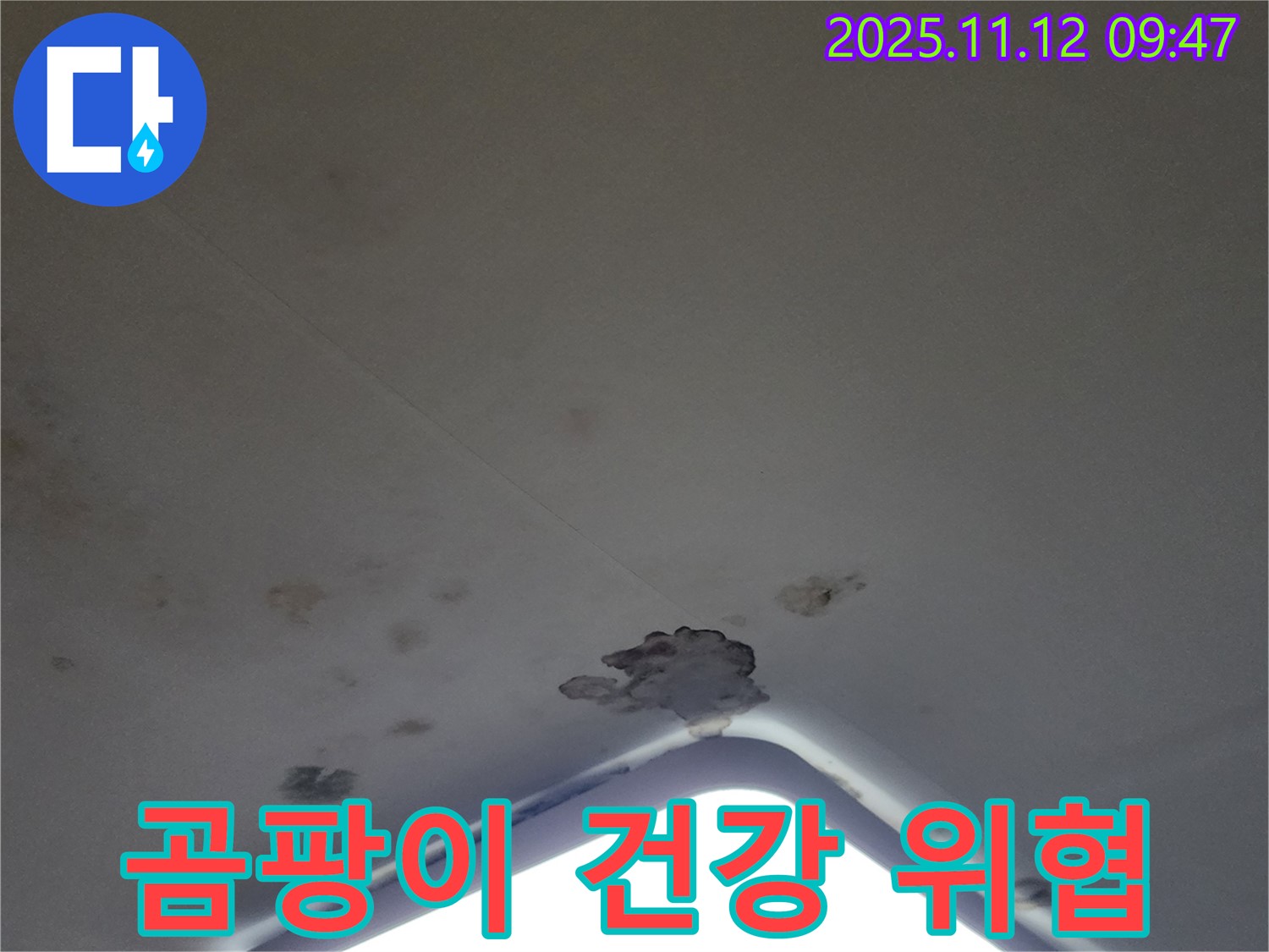 포천 소흘읍 - 천장 누수, 석고보드 손상 및 곰팡이 발생 - 건강 위협