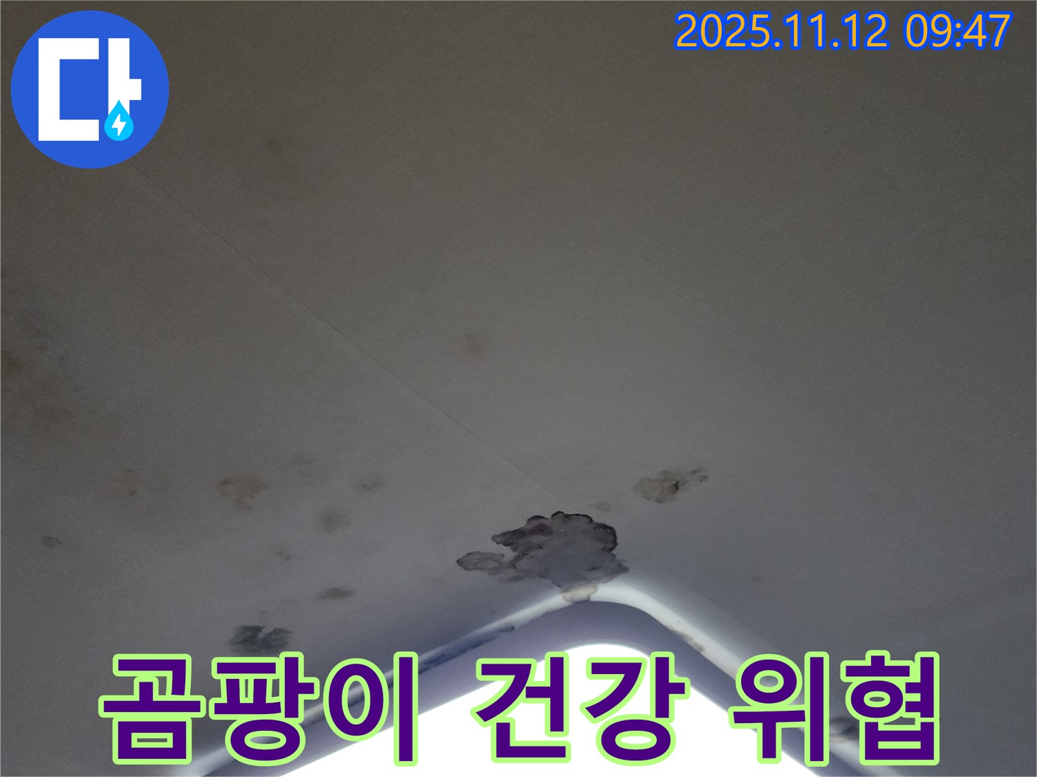 포천 소흘읍 - 천장 조명 주변 곰팡이 - 건강 위협