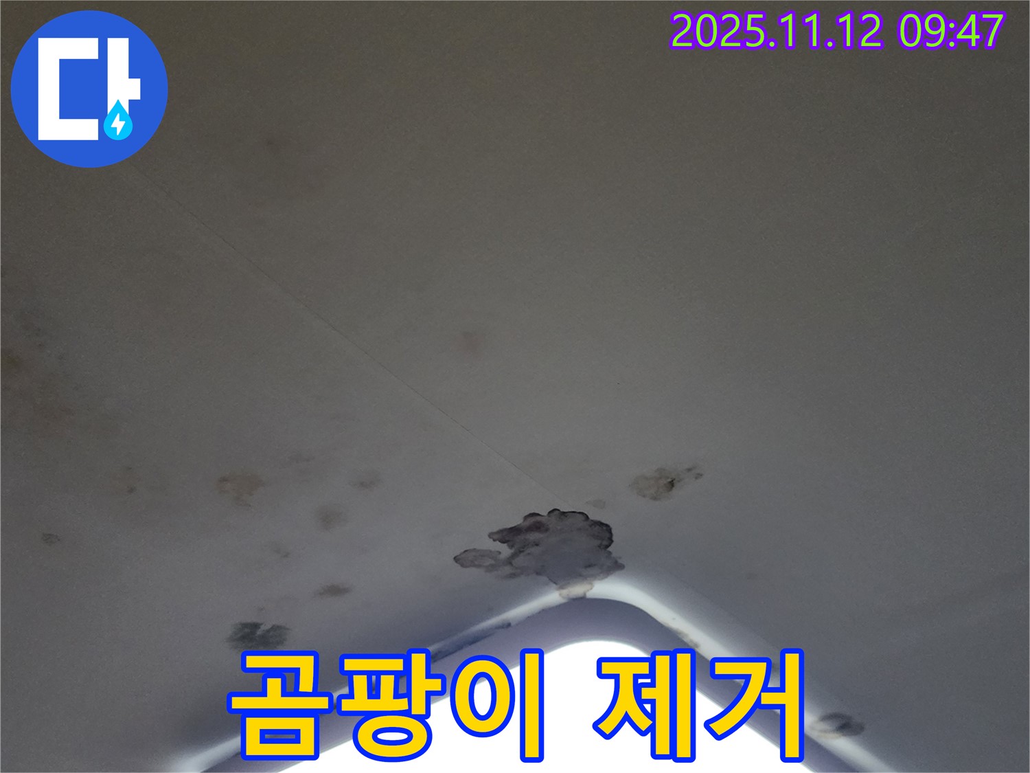 포천 소흘읍 - 천장 조명 주변 곰팡이 - 건강 위협 - 빠른 제거