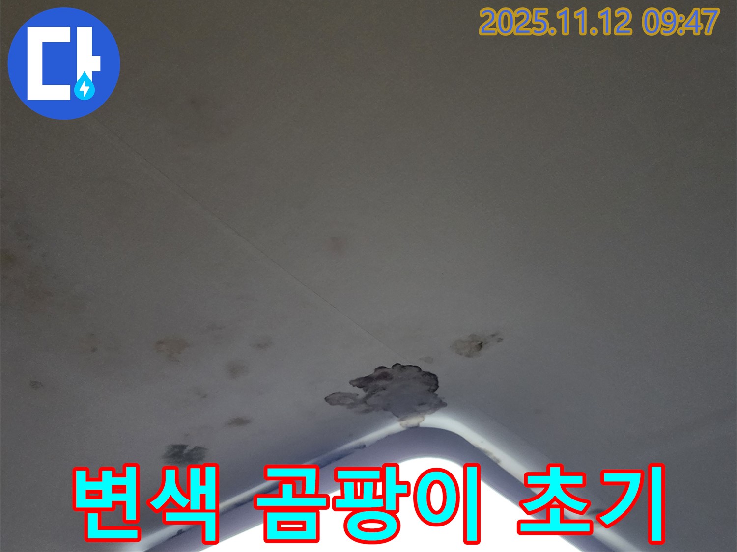 포천 소흘읍 - 천장 조명 주변 석고보드 변색 및 곰팡이 발생 초기