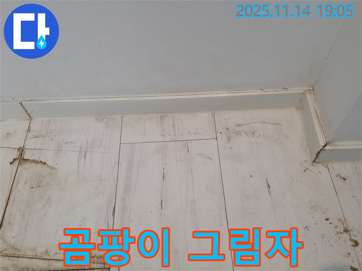 관악구 누수 - 젖은 장판, 곰팡이의 그림자가 드리워져 있습니다.