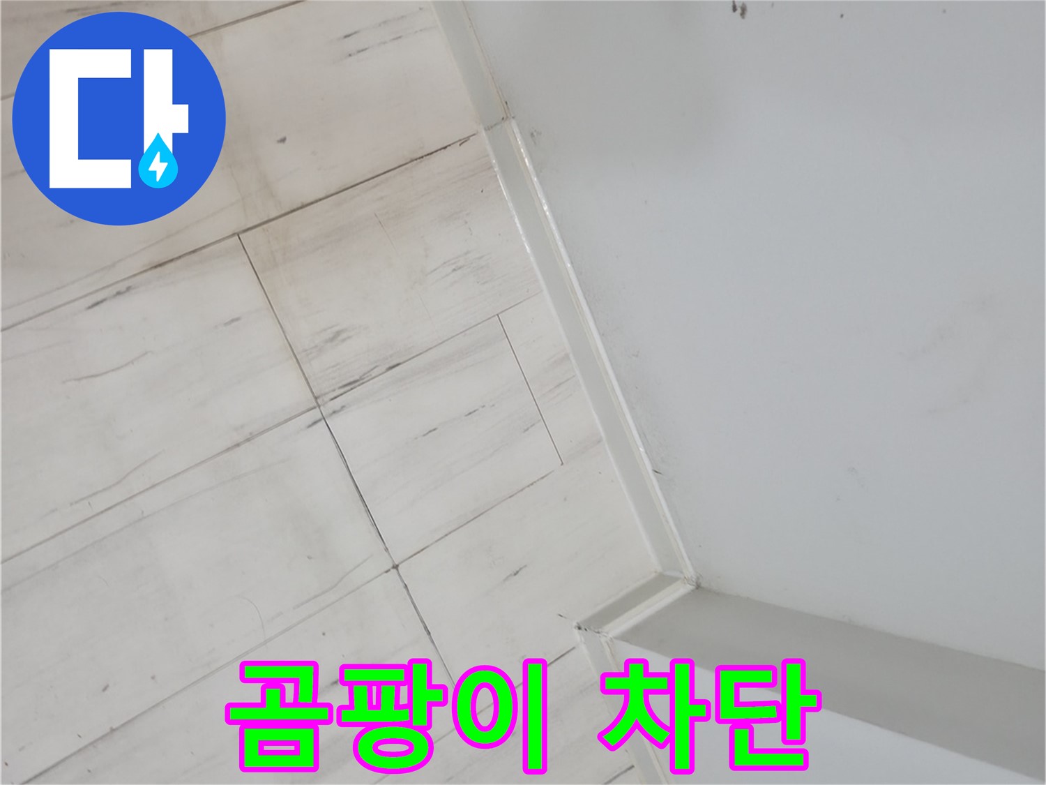 관악구 벽 곰팡이 누수 - 건물 가치 향상 및 쾌적한 환경 조성
