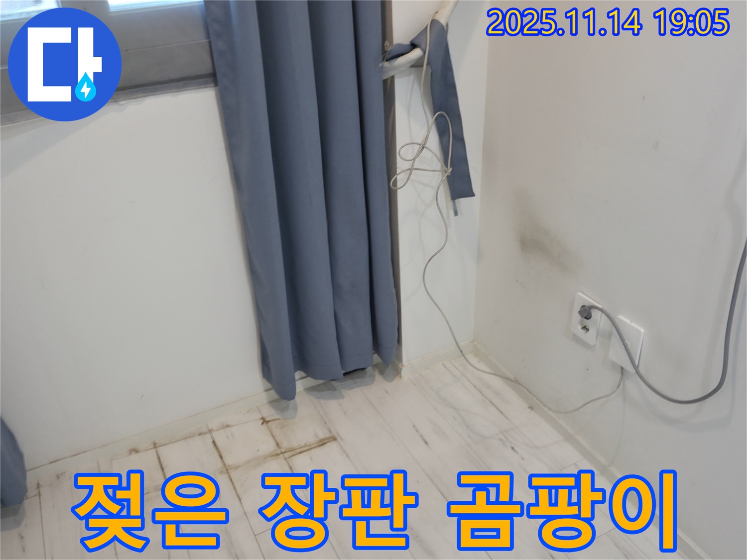 관악구 신림동 누수 - 젖은 장판과 벽 곰팡이 - 누수 초기 발견
