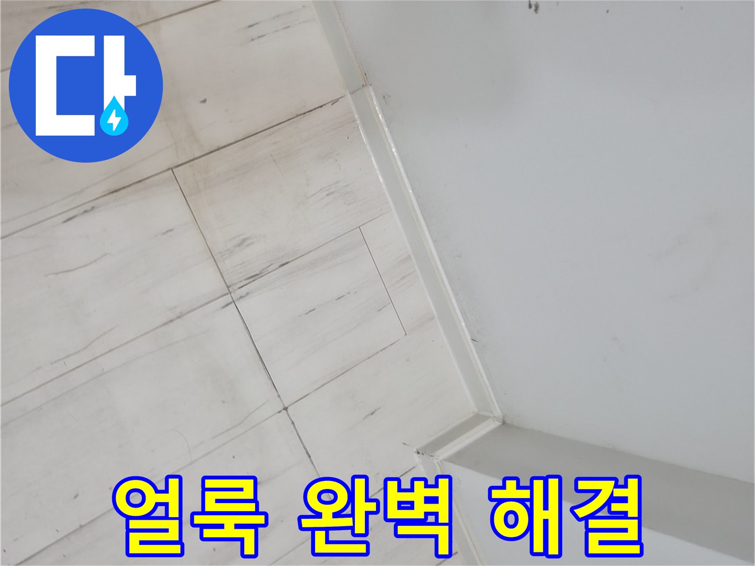 관악구 장판 얼룩 누수 - 건물 가치 향상 및 쾌적한 환경 조성
