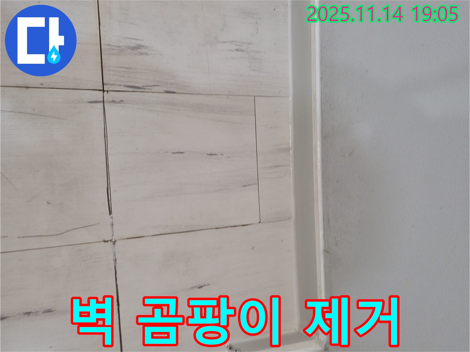 벽 곰팡이 제거 - 깨끗한 공간에서 건강하게!