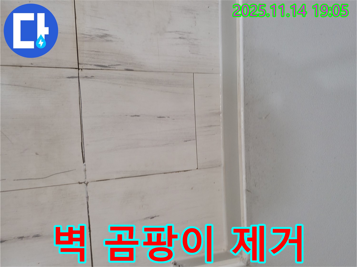 벽 곰팡이 제거 - 쾌적한 공간으로 - 안심하고 생활하세요!