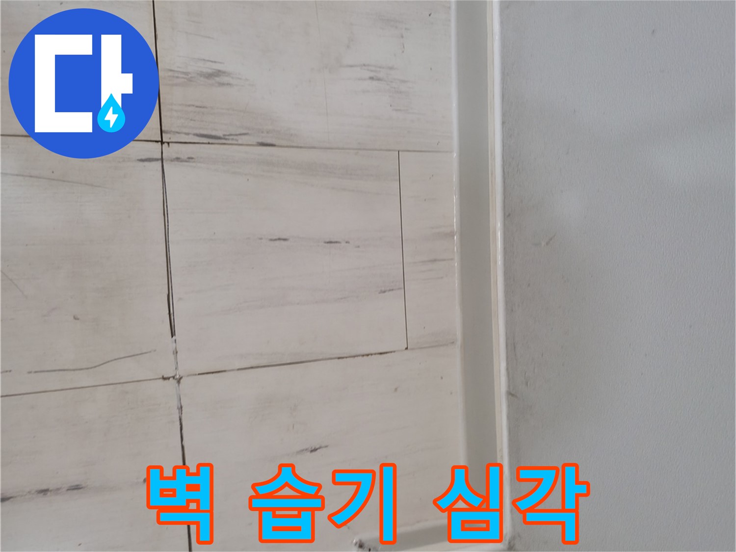 벽 습기 - 심각 상태