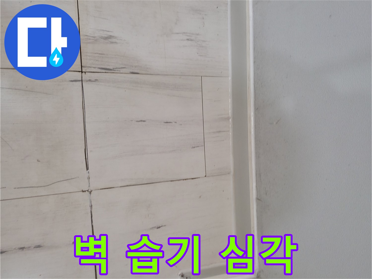 벽 습기 - 심각 상태