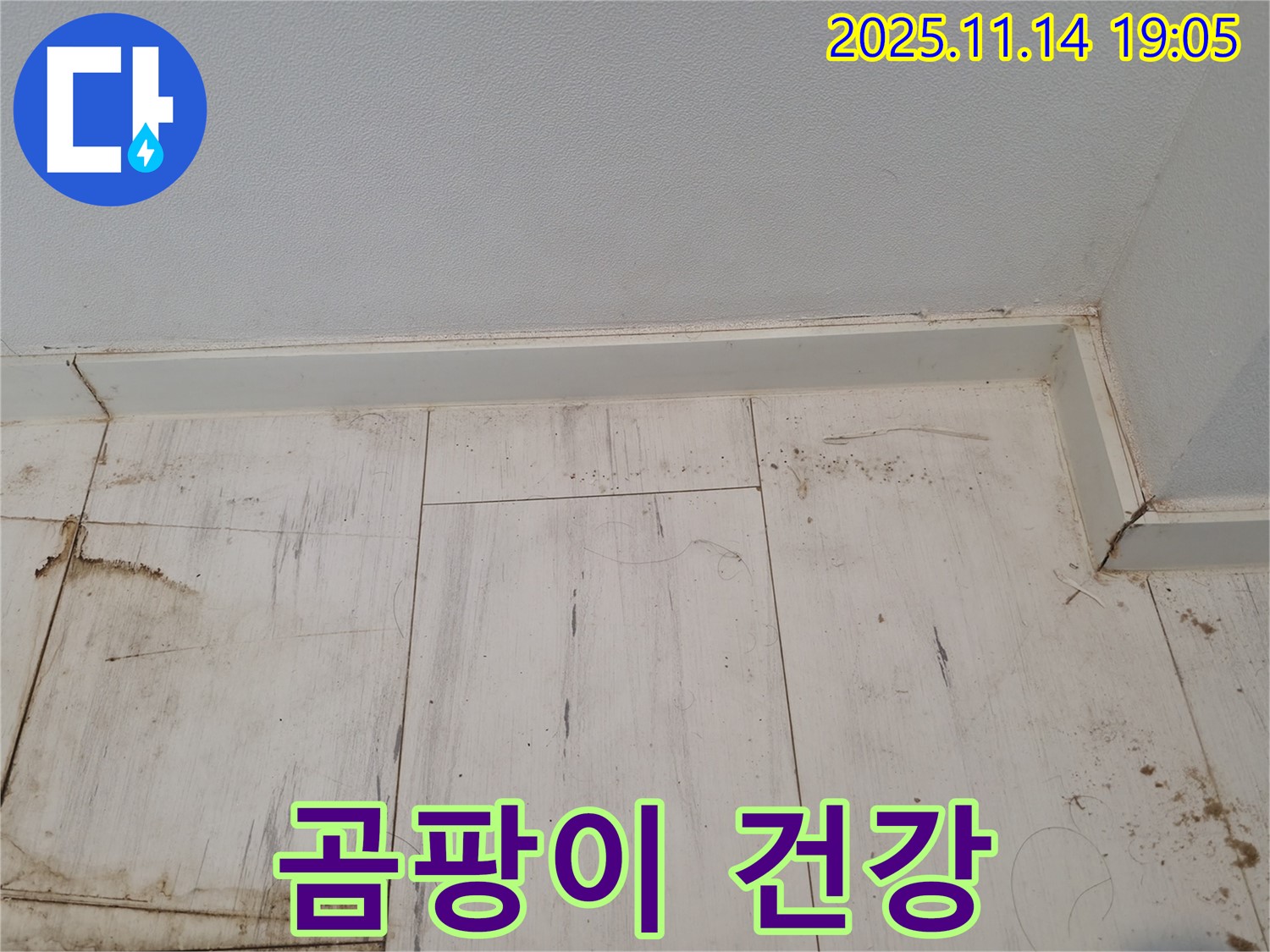 신림 누수 - 곰팡이 핀 장판, 건강에 적신호!