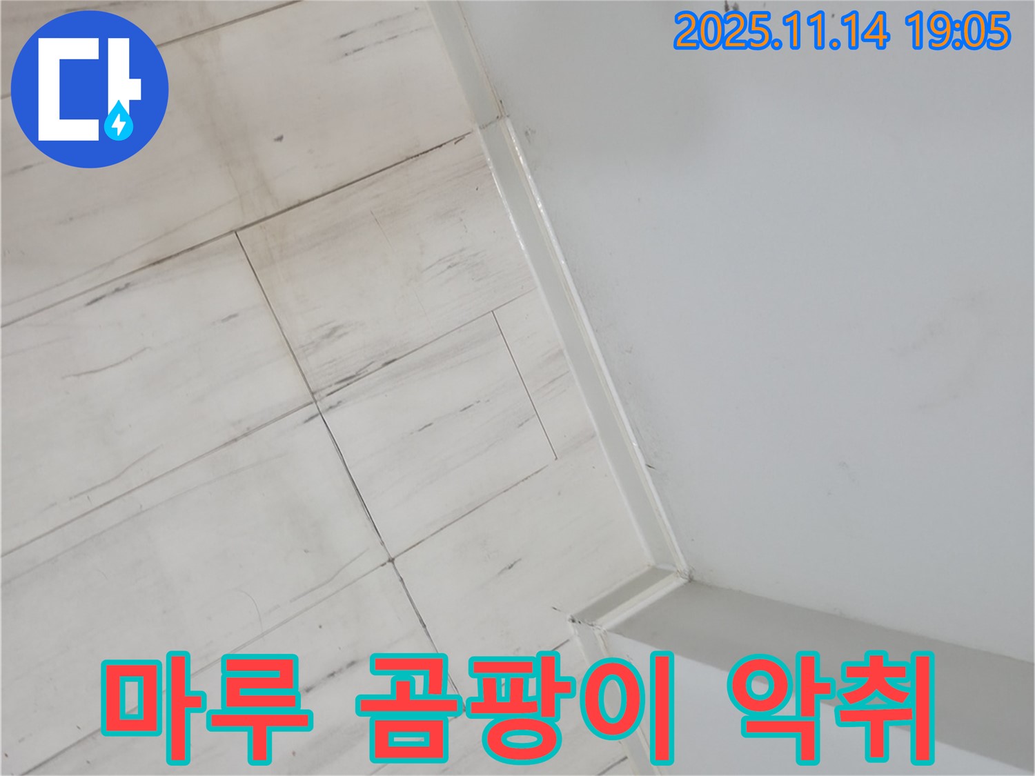 신림동 누수 - 마루 틈새 곰팡이, 악취! 3가지 문제를 한 번에 해결!