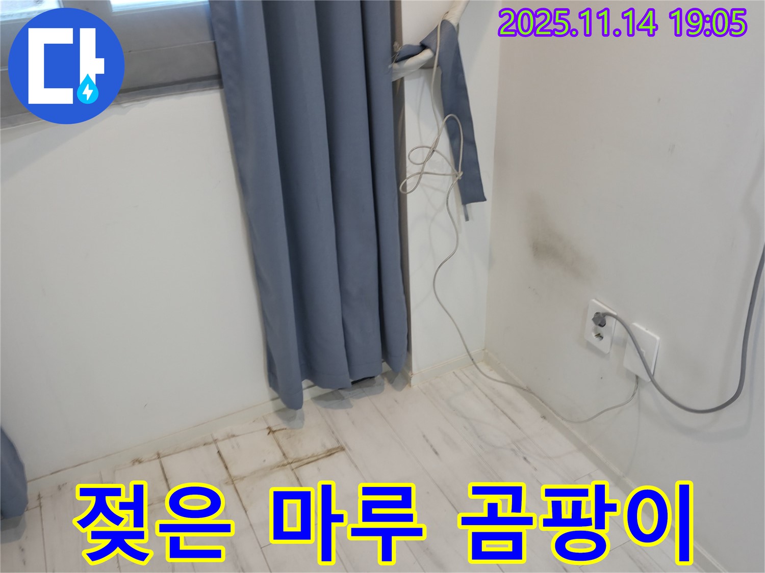신림동 누수 - 젖은 마루와 곰팡이 냄새 - 누수 초기 진단