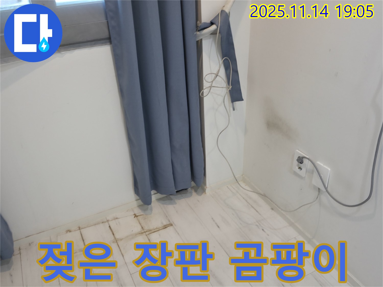 신림동 누수 - 젖은 장판과 벽 모서리 곰팡이 - 누수 초기 발견