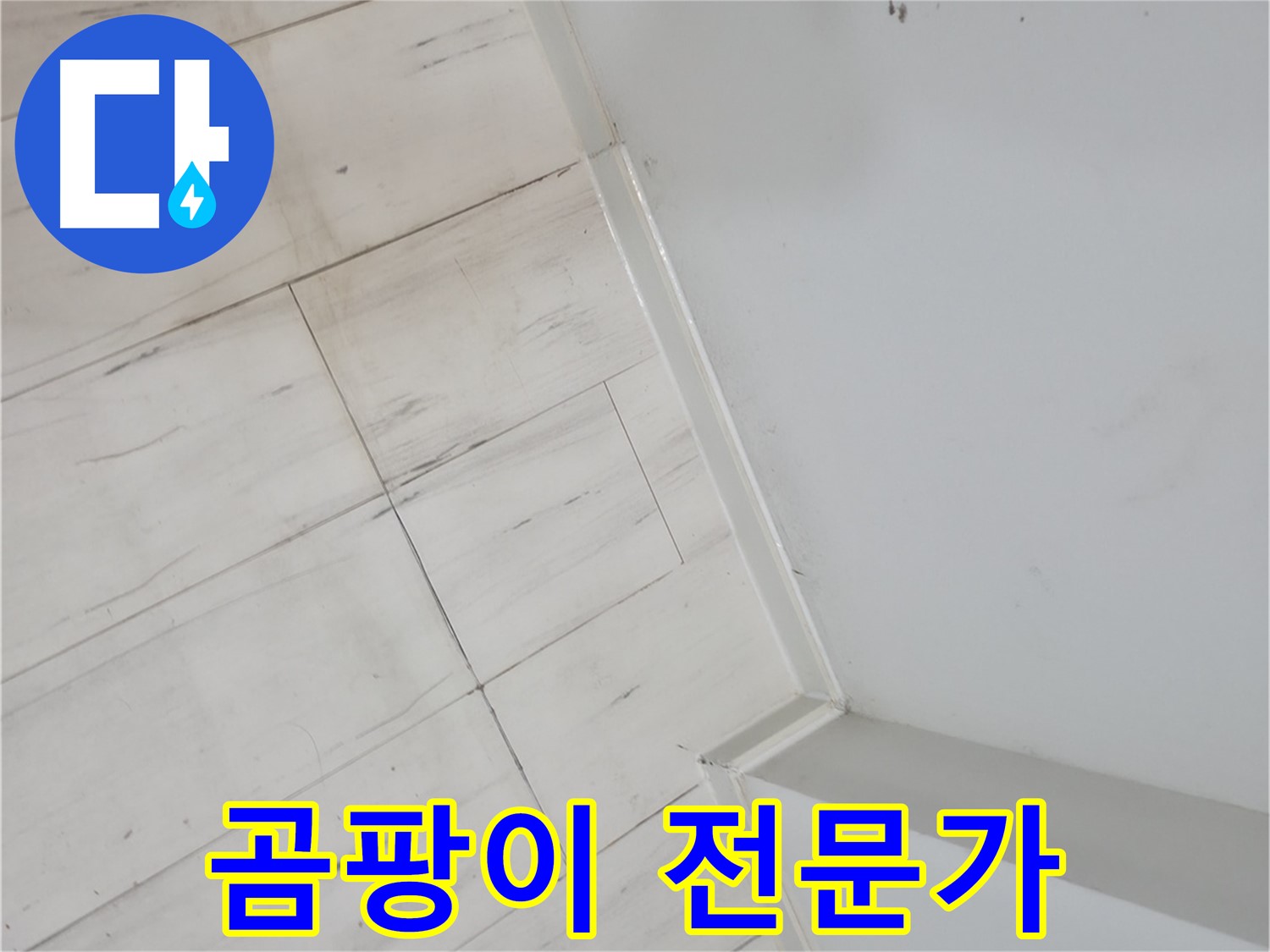 신림동 벽 곰팡이 누수 - 오랜 경험과 노하우의 전문가