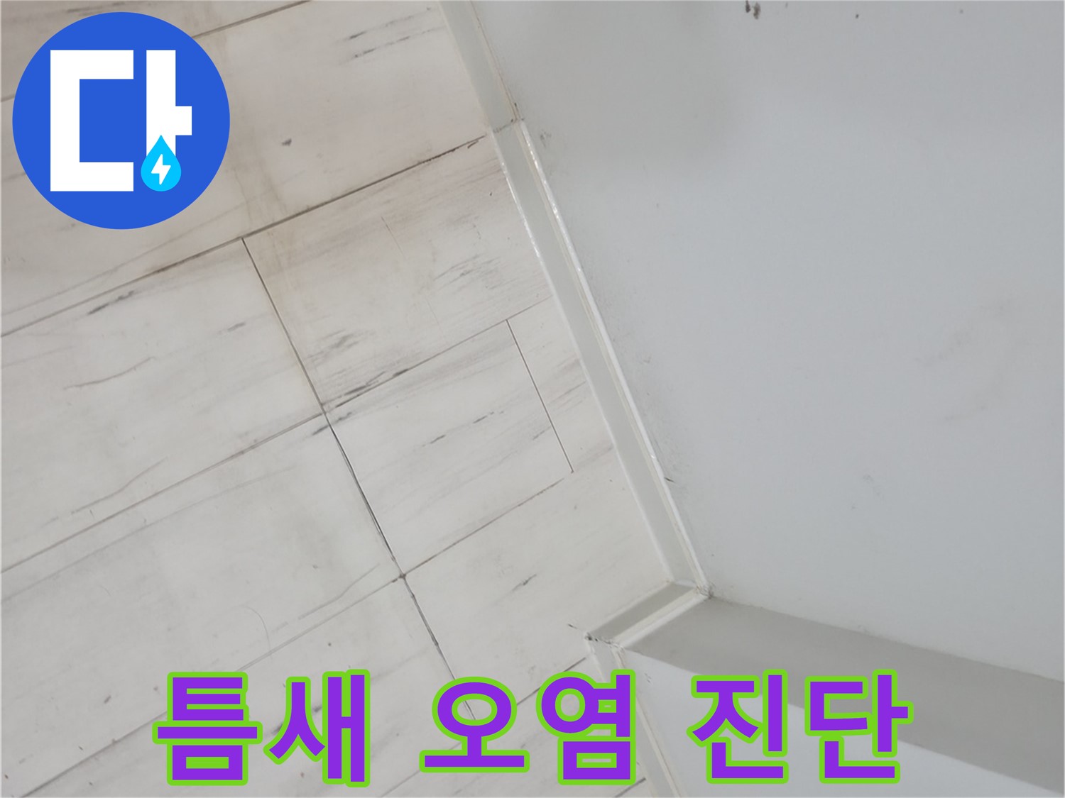 신림동 장판 틈새 오염 누수 원인 진단