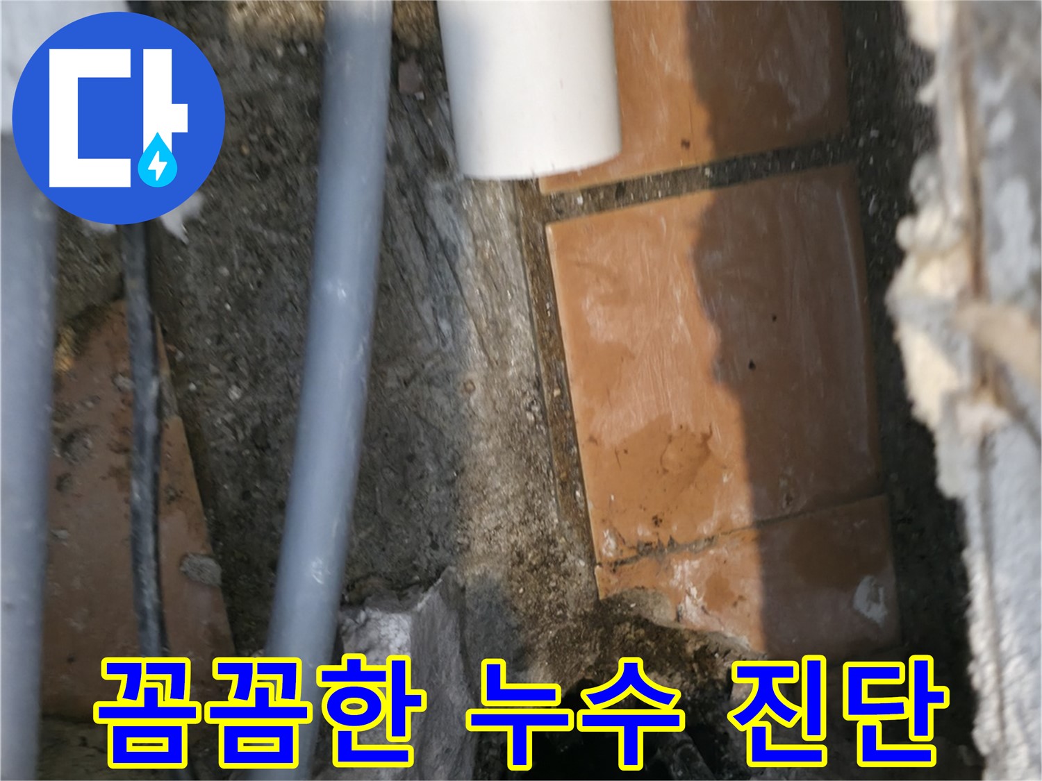 신림동 하이츠빌라 누수 - 꼼꼼한 누수 진단으로 문제 해결 시작