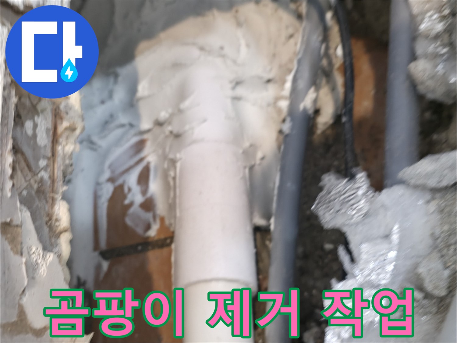 신림동 하이츠빌라 누수 - 누수 부위 주변 곰팡이 제거