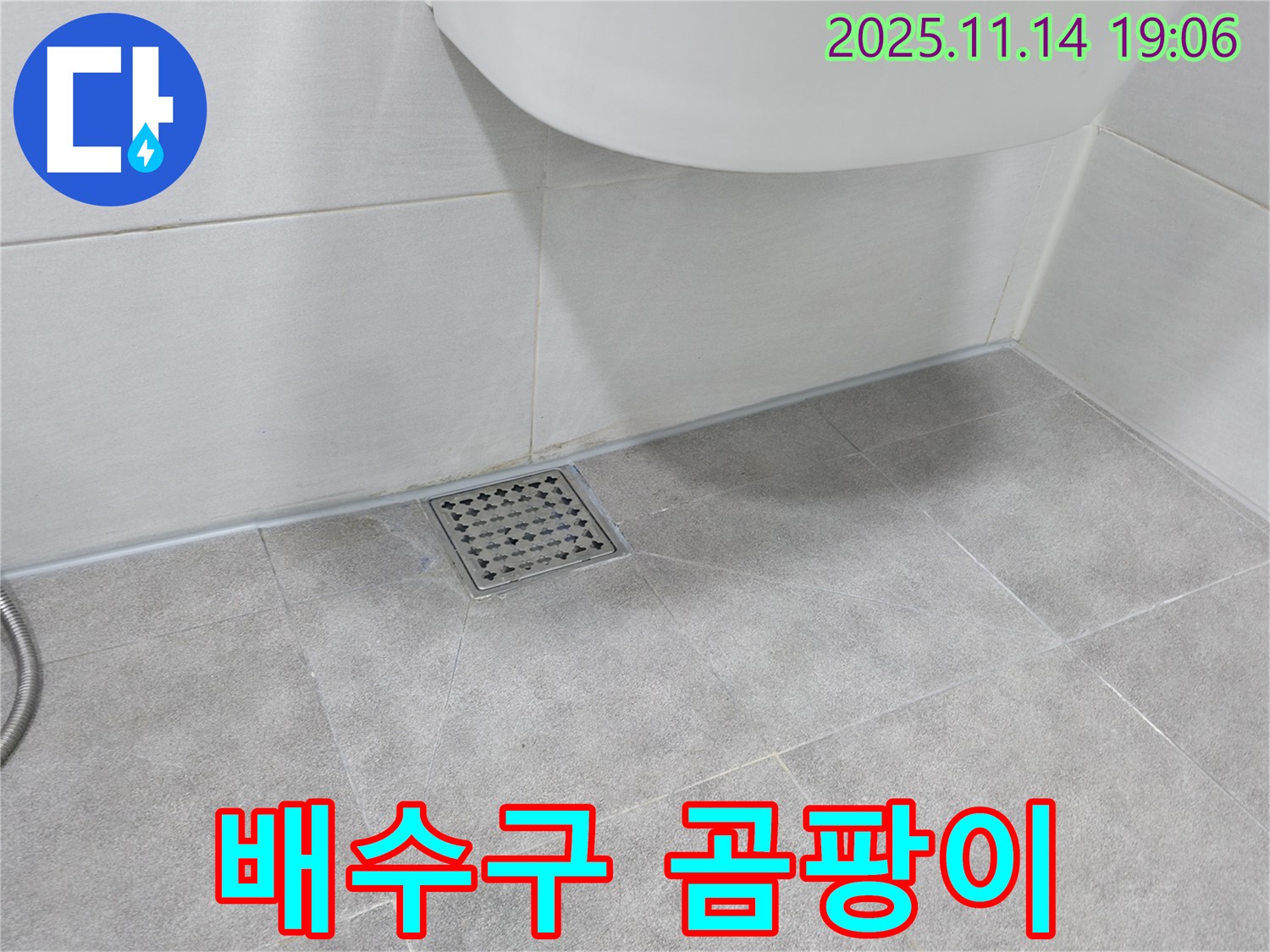 욕실 배수구 주변 곰팡이 - 습기 때문에 곰팡이가 쉽게 발생합니다.