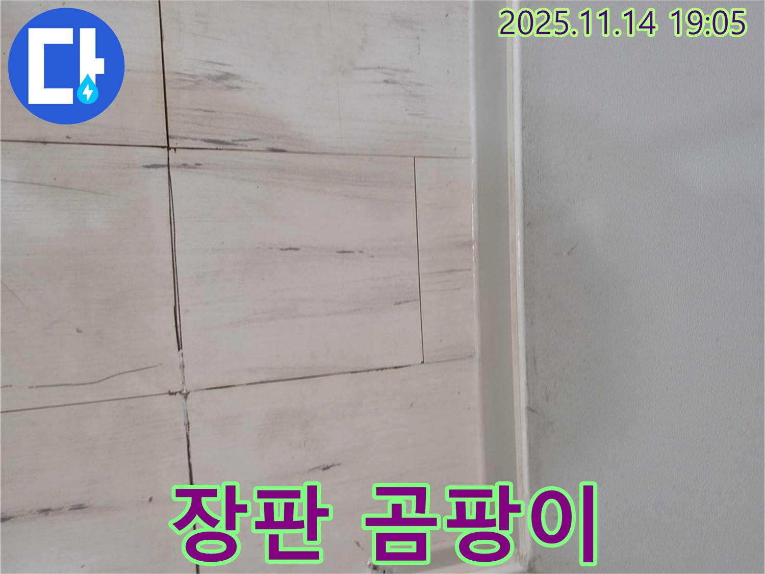 장판 곰팡이 - 누수의 신호, 건강 적신호