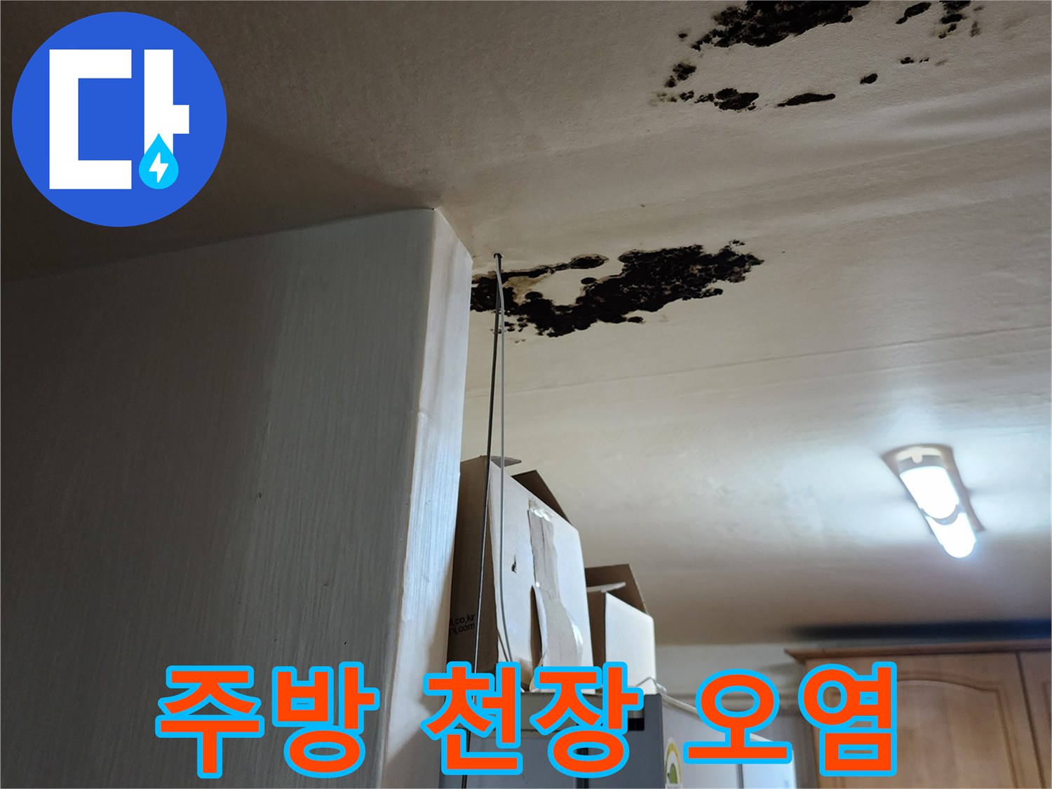 검은색 곰팡이가 퍼진 주방 천장 마감재의 상태