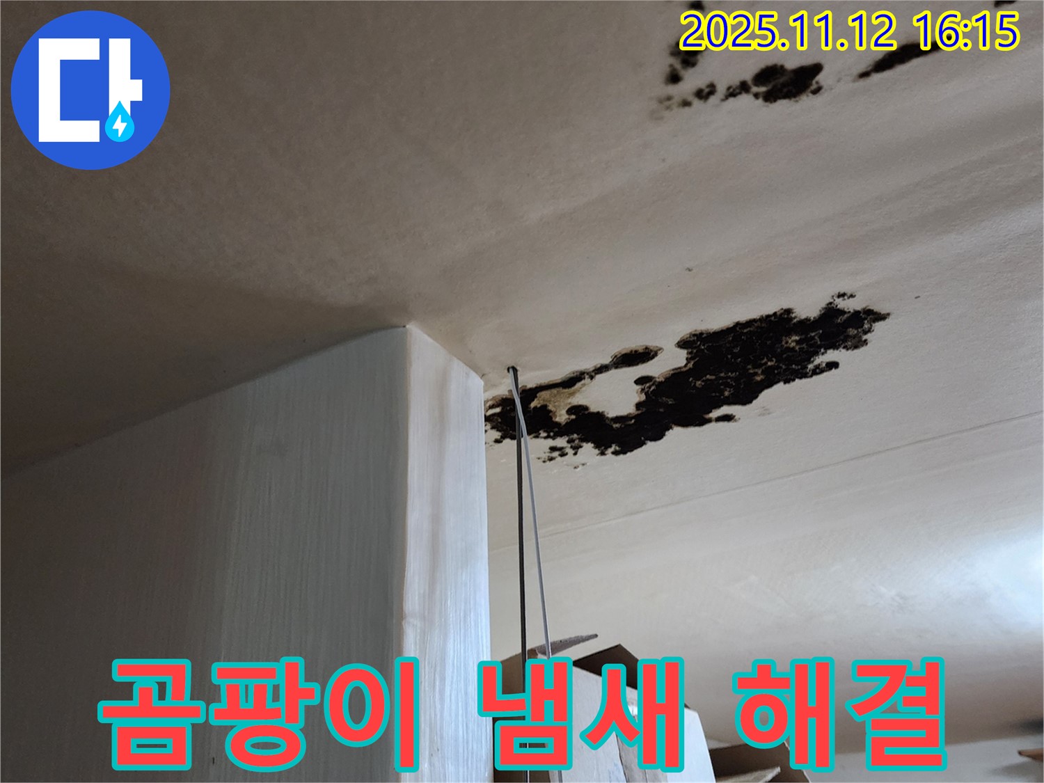 곰팡이 냄새 - 누수 해결 - 군내면 구읍리 누수탐지 전문가