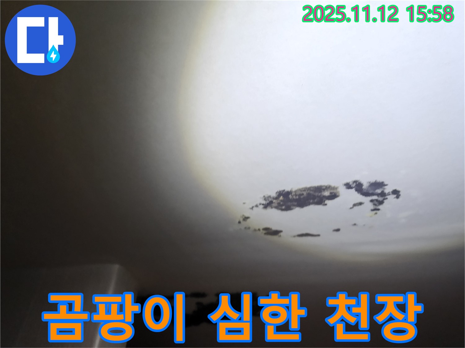 구읍리 - 곰팡이가 심하게 핀 천장 누수 현장