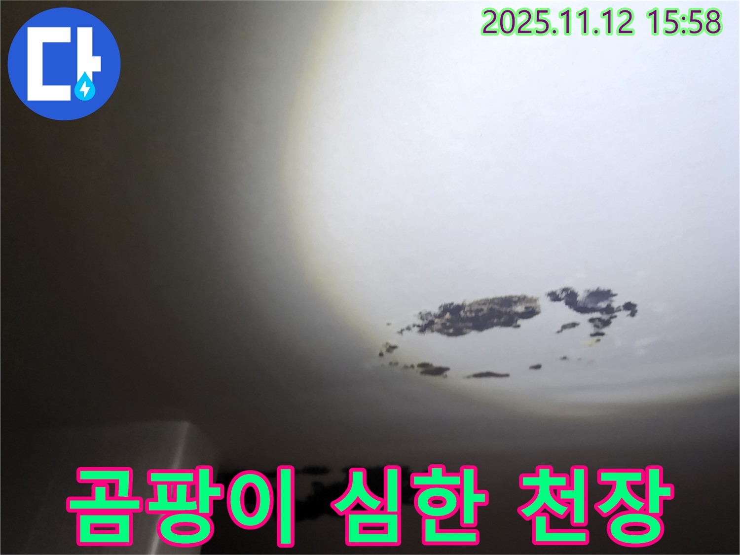 구읍리 - 곰팡이가 심하게 핀 천장 누수 현장