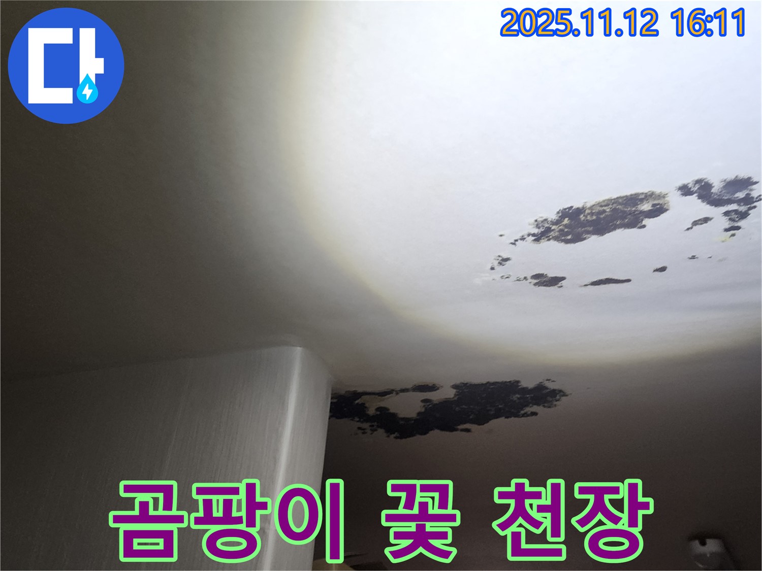구읍리 누수 - 곰팡이 꽃 핀 천장, 누수 해결 전문가