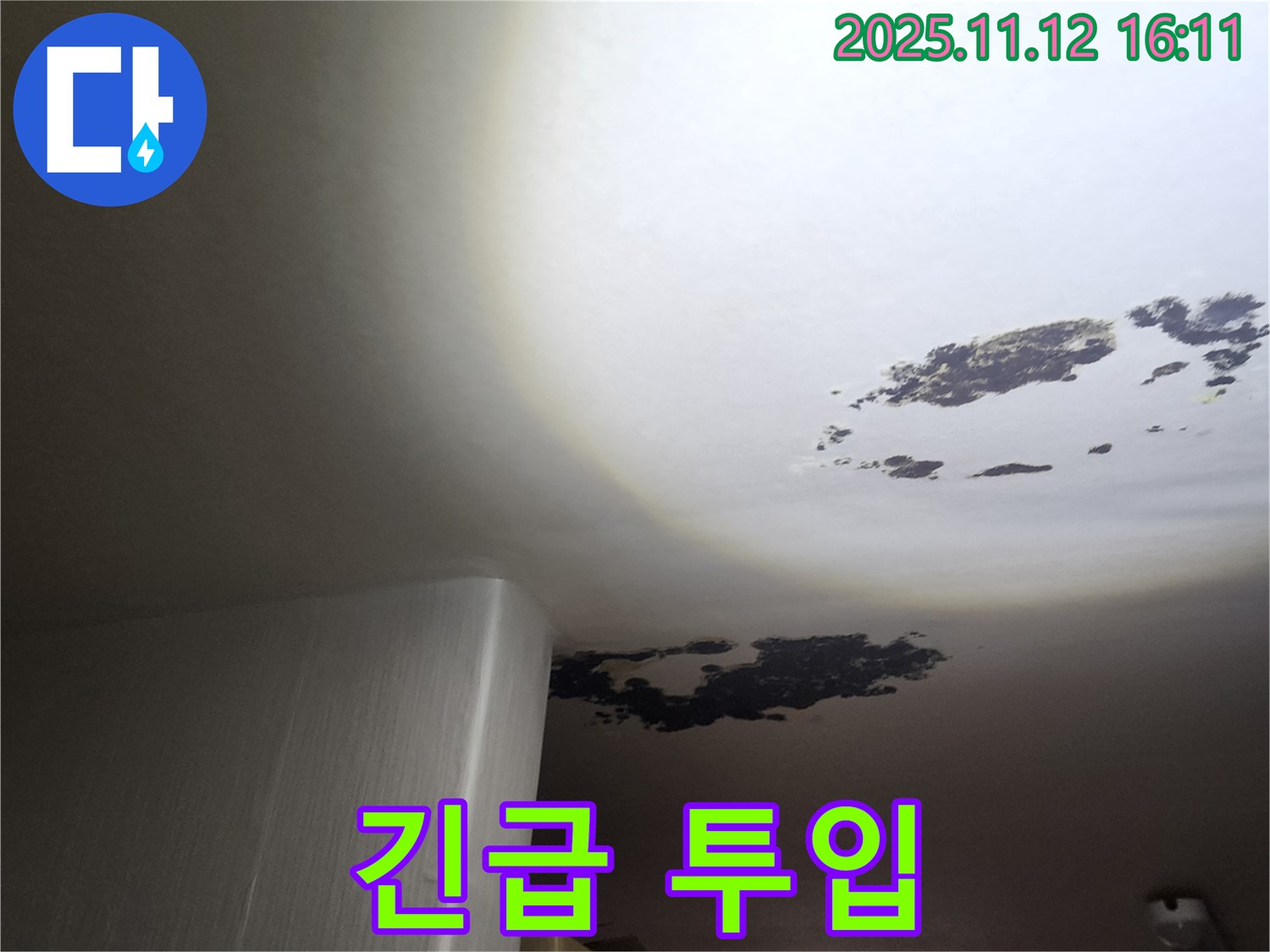 구읍리 누수 - 곰팡이 천장 SOS, 누수 탐지 전문가 긴급 투입