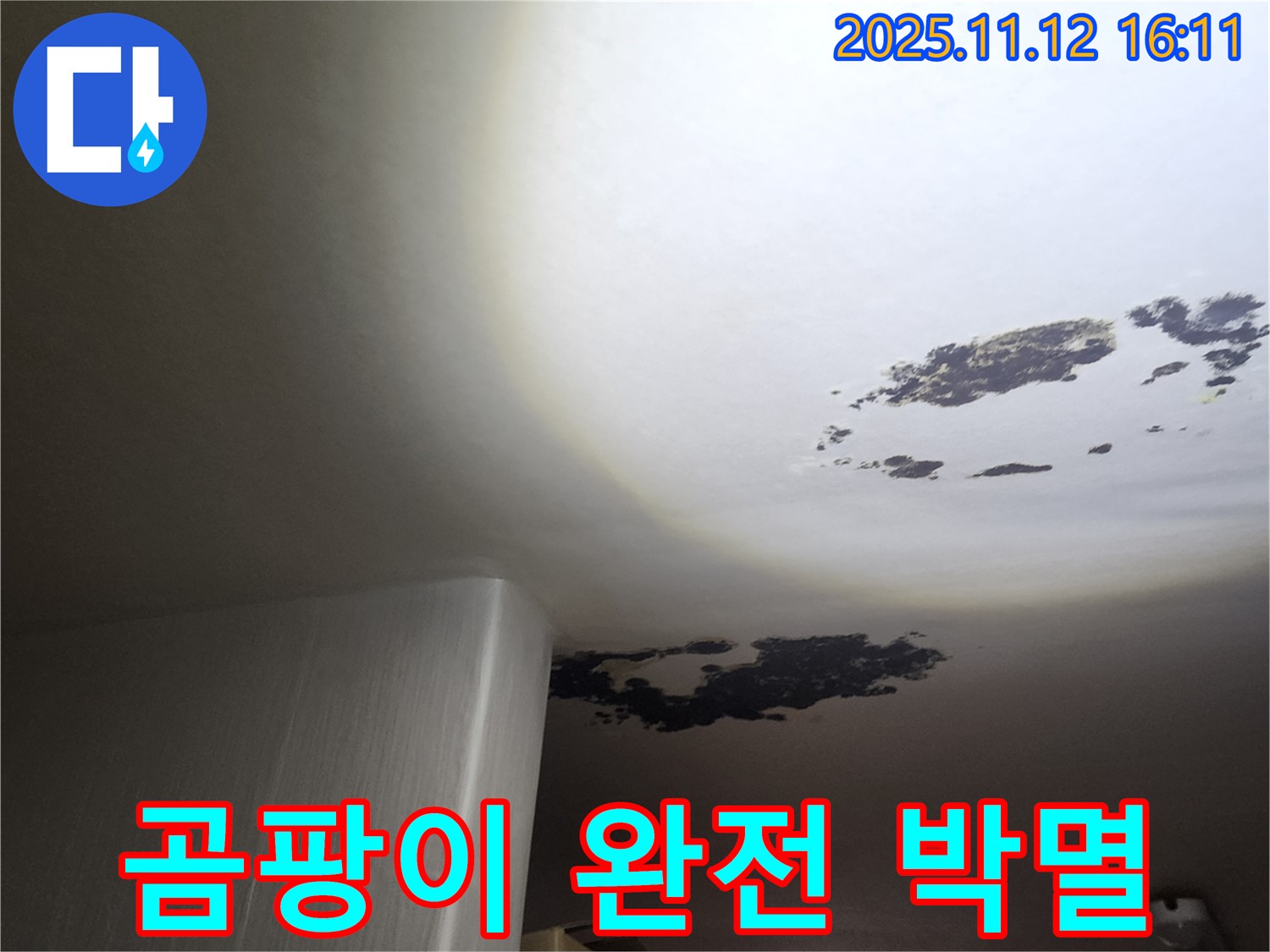 구읍리 누수 - 곰팡이 천장 완전 박멸, 누수 걱정 없이 쾌적하게!