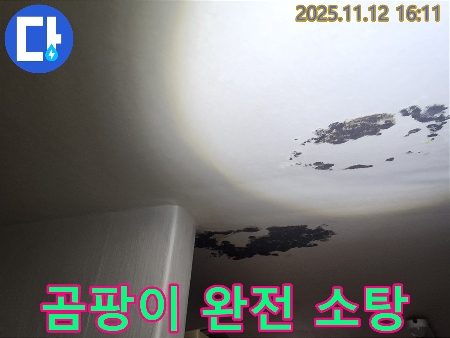 구읍리 누수 - 곰팡이 천장 완전 소탕, 누수 걱정 싹!