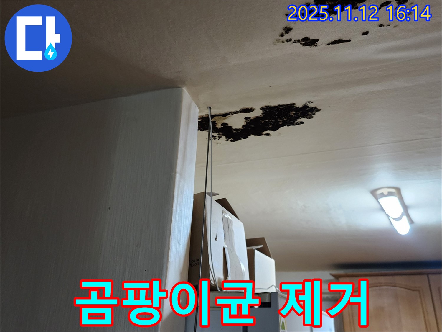 구읍리 누수 - 천장 곰팡이, 곰팡이 냄새 - 곰팡이균 제거 전문
