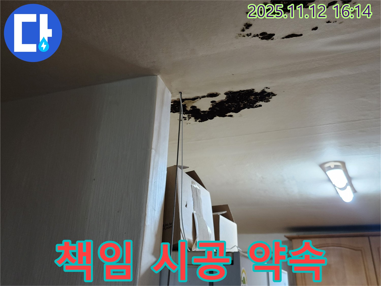 구읍리 누수 - 천장 곰팡이, 원인부터 해결까지 책임 시공