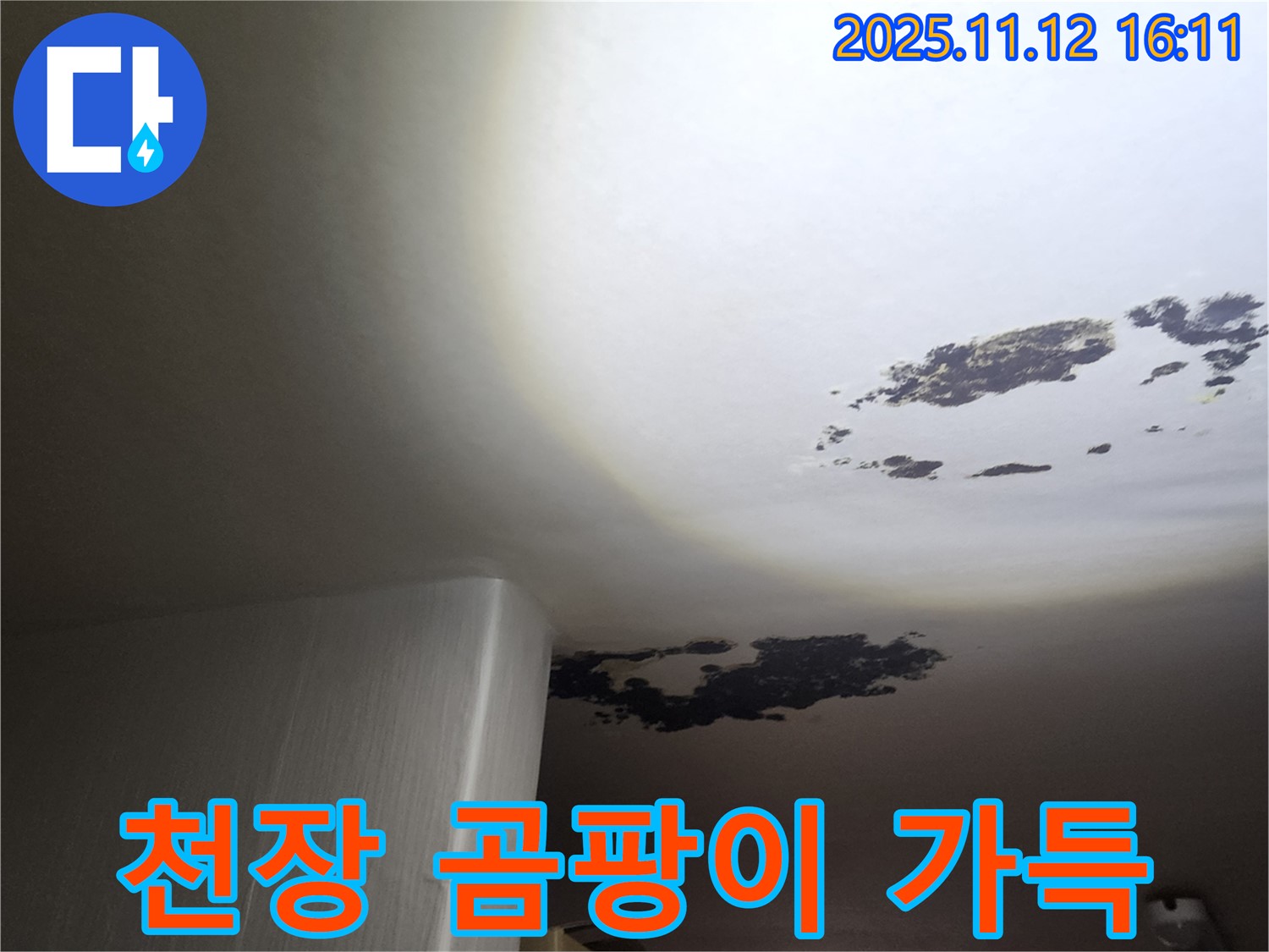 구읍리 누수 - 천장 전체에 가득한 곰팡이
