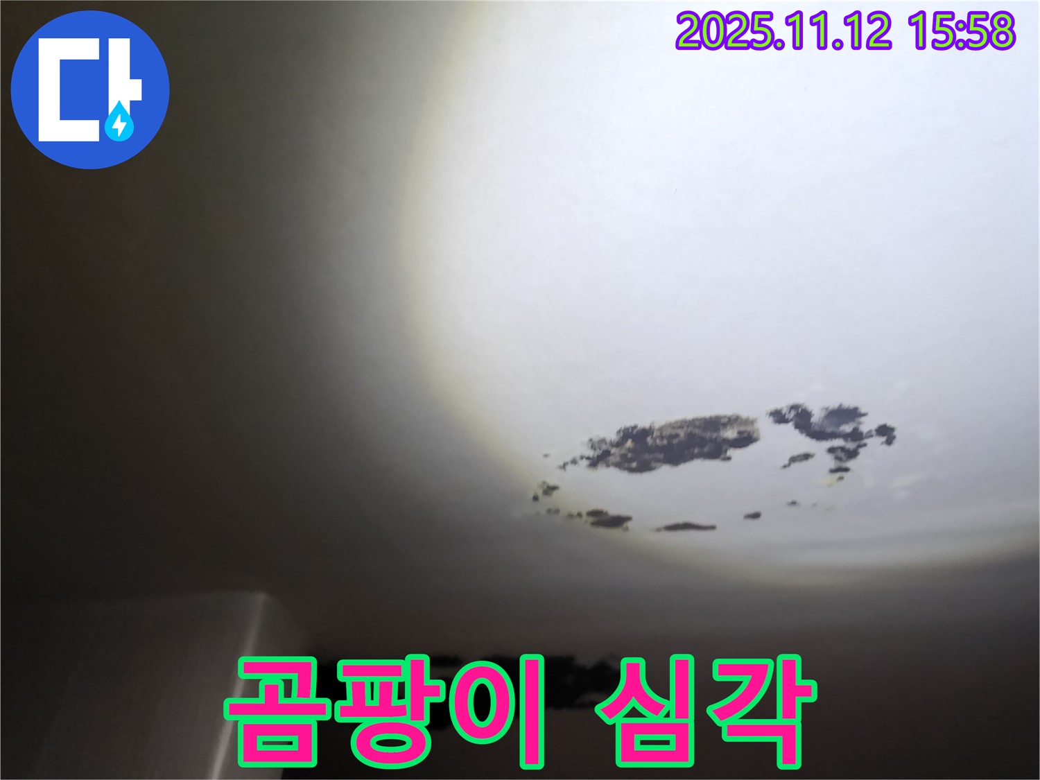 군내면 - 곰팡이가 심하게 핀 천장 누수 현장