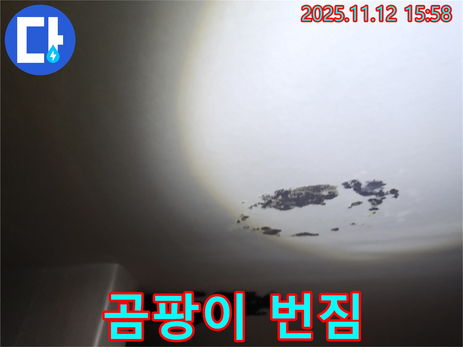 군내면 - 곰팡이가 점점 번지고 있는 천장 누수 현장