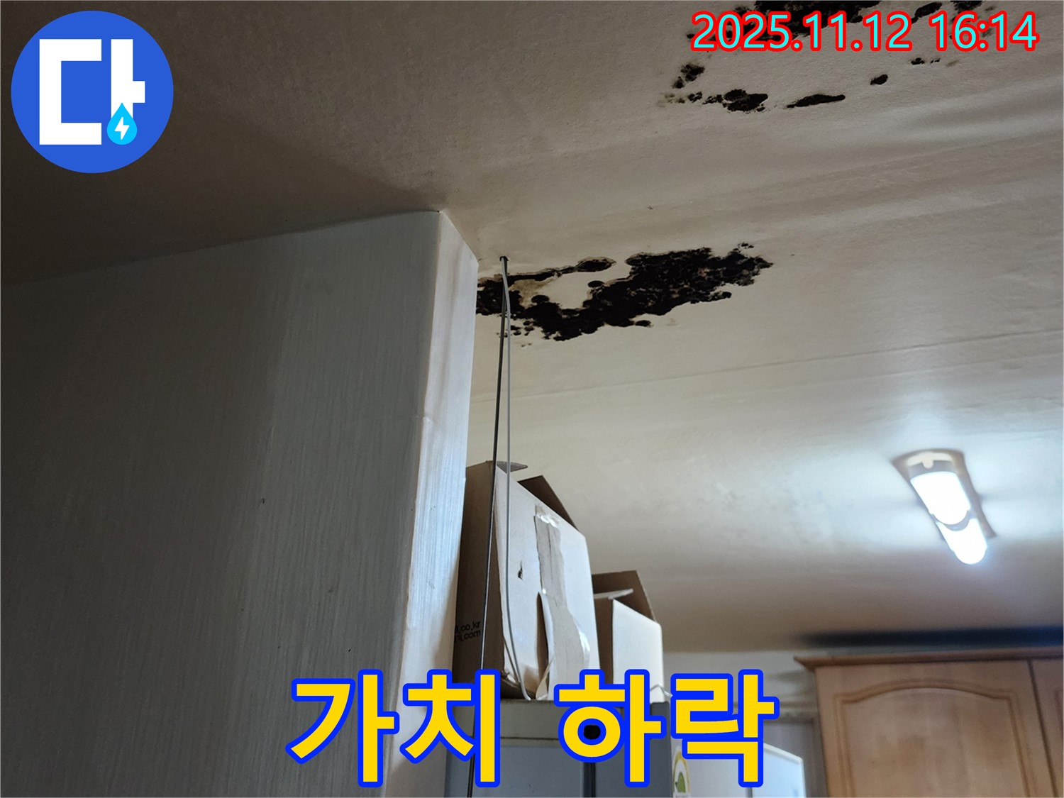 군내면 구읍리 누수 - 곰팡이, 곰팡이 냄새 - 건물 가치 하락