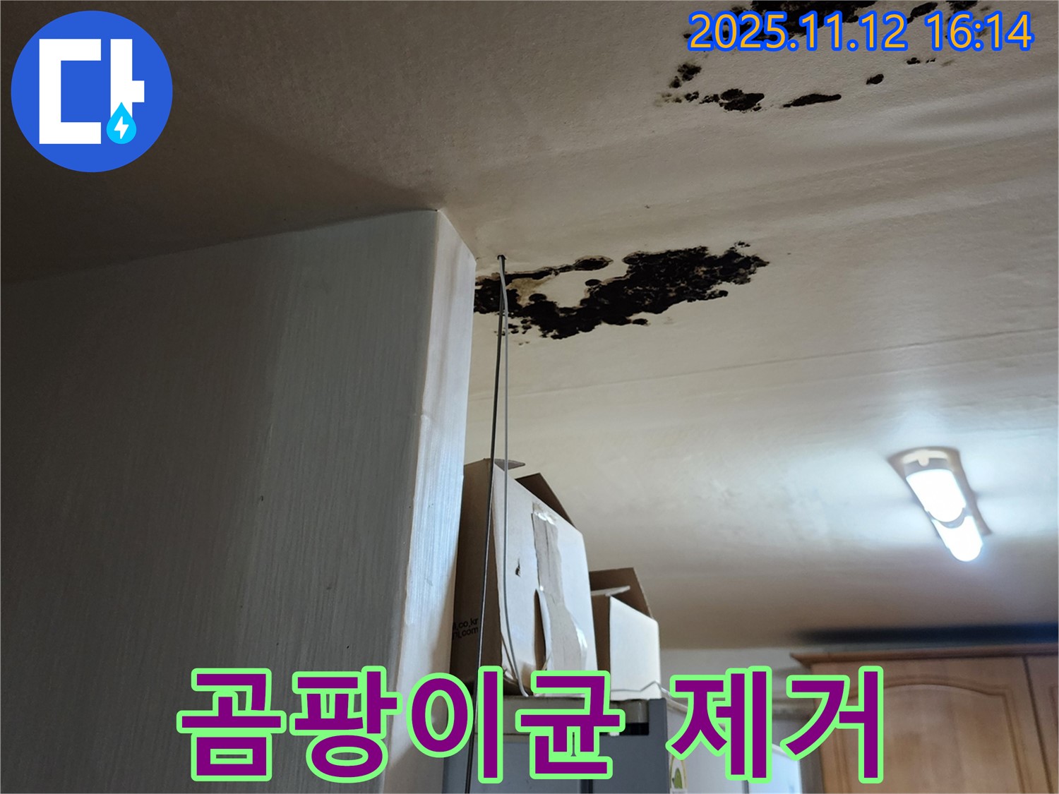 군내면 구읍리 누수 - 곰팡이, 곰팡이 냄새 - 곰팡이균 제거 시공