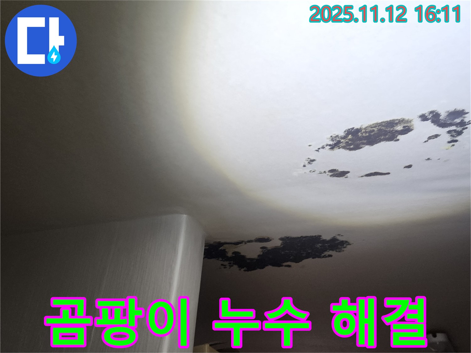 군내면 누수 - 곰팡이 & 누수 고민 해결, 쾌적한 우리 집 만들기