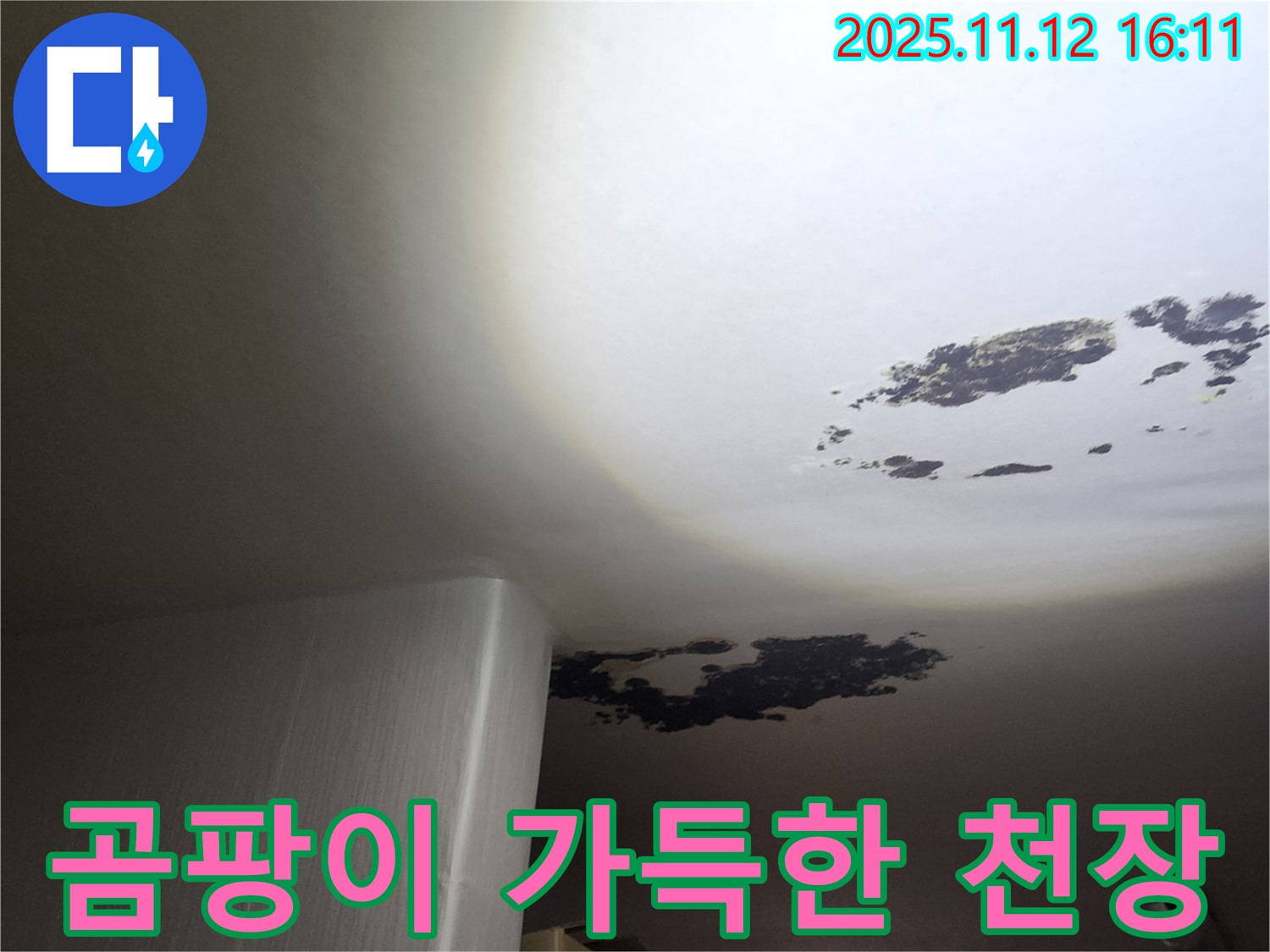 군내면 누수 - 곰팡이로 가득한 천장