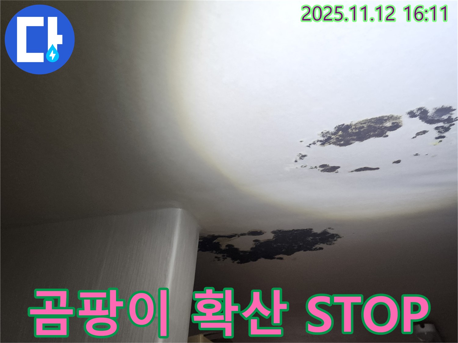군내면 누수 - 천장 곰팡이 확산 방지, 책임 시공