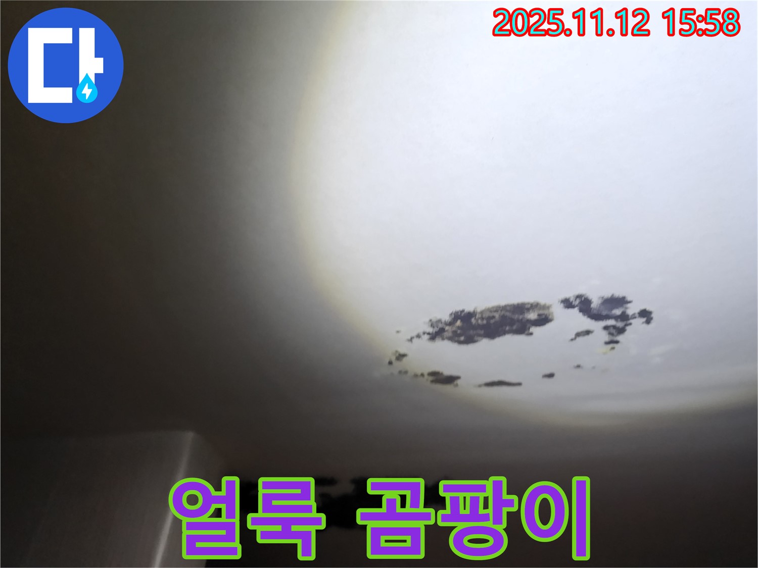 군내면 - 천장 얼룩과 곰팡이가 함께 있는 누수 현장