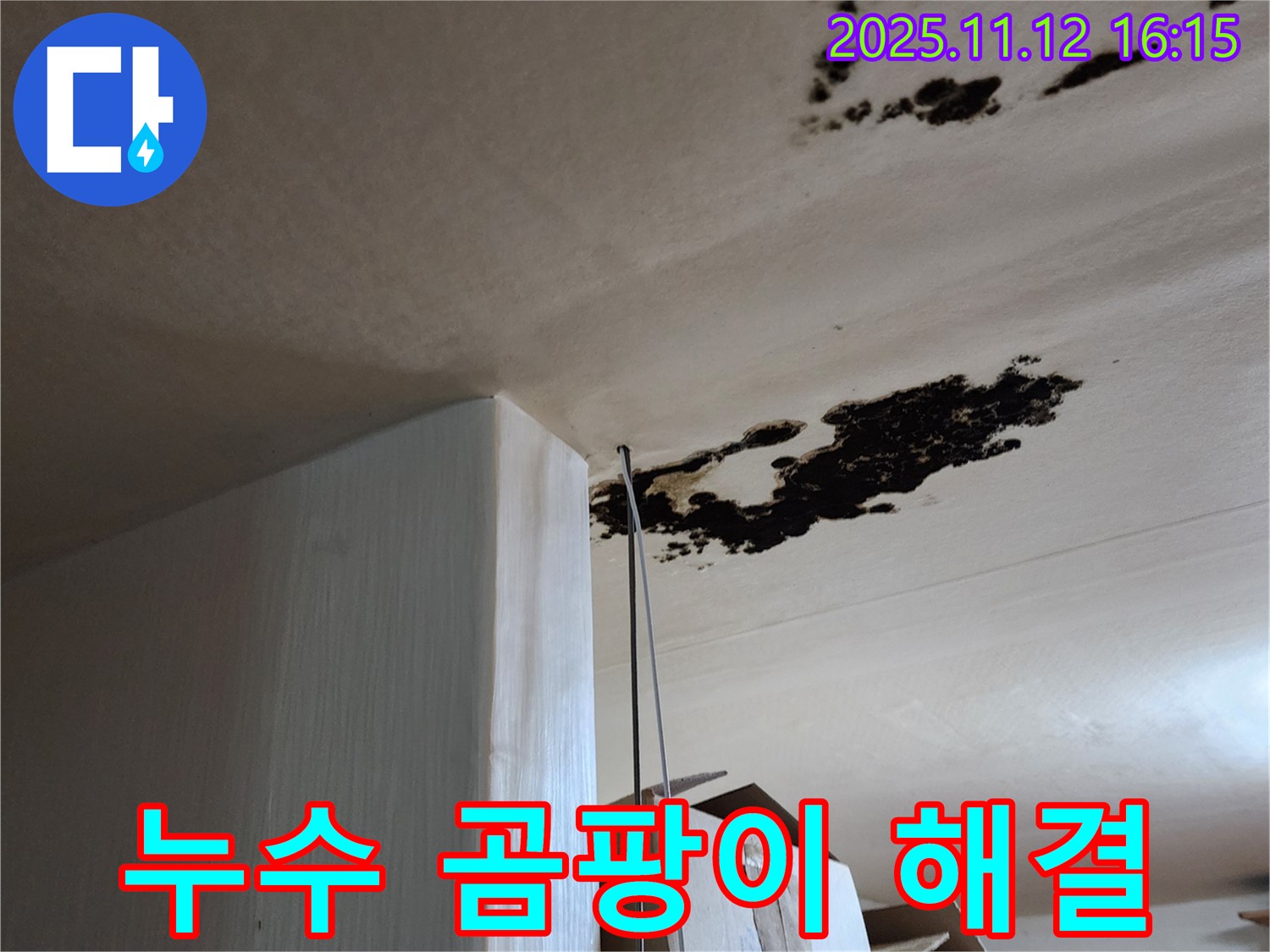 누수 해결 - 곰팡이 제거 - 군내면 누수탐지 전문가의 완벽 시공