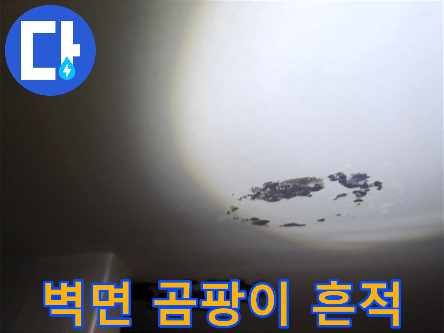 물샘 현상으로 인해 발생한 천장 곰팡이 부위