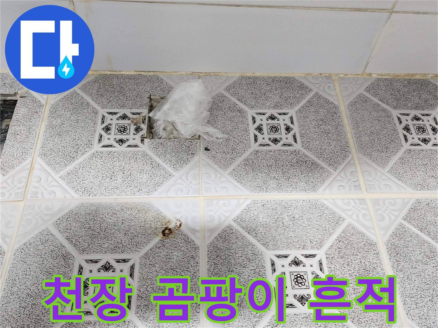 습기가 머문 천장-검은 곰팡이가 발생한 마감재 표면