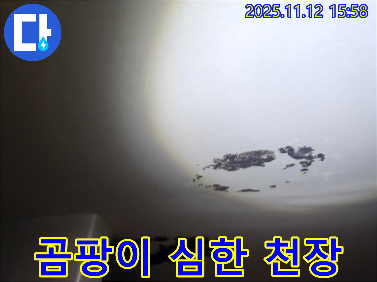용정리 - 곰팡이가 심하게 핀 천장 누수 현장