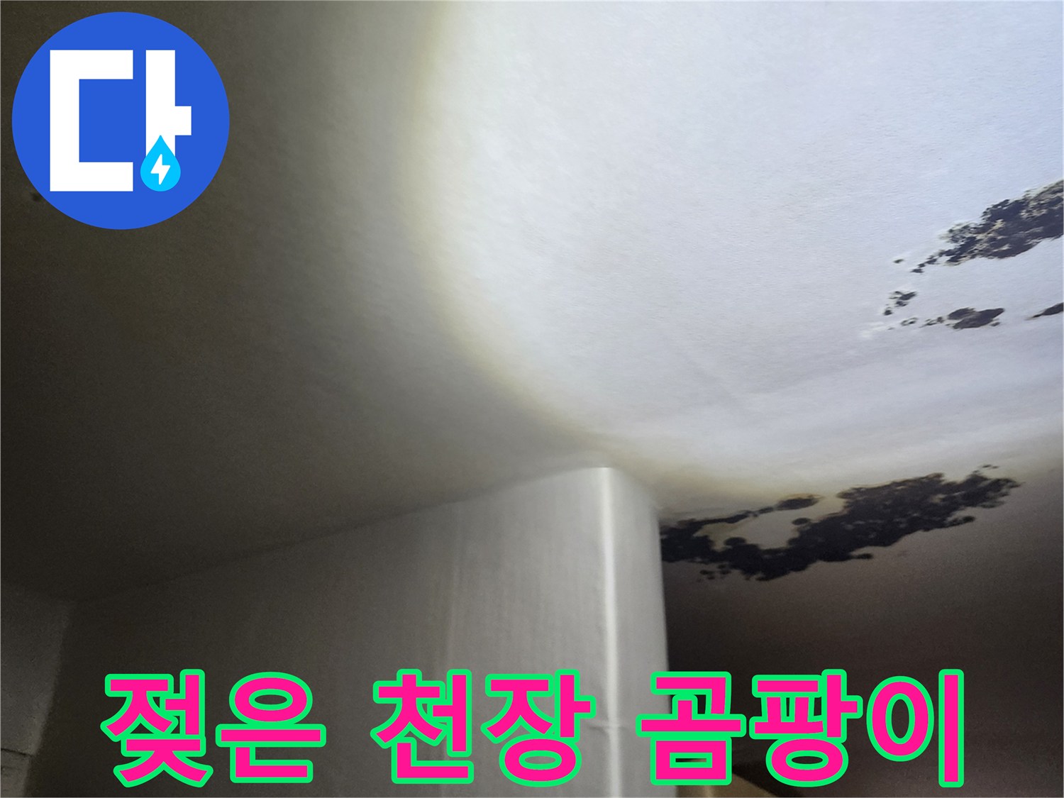 천장 구석의-습기로 인한 곰팡이 및 변색 부위