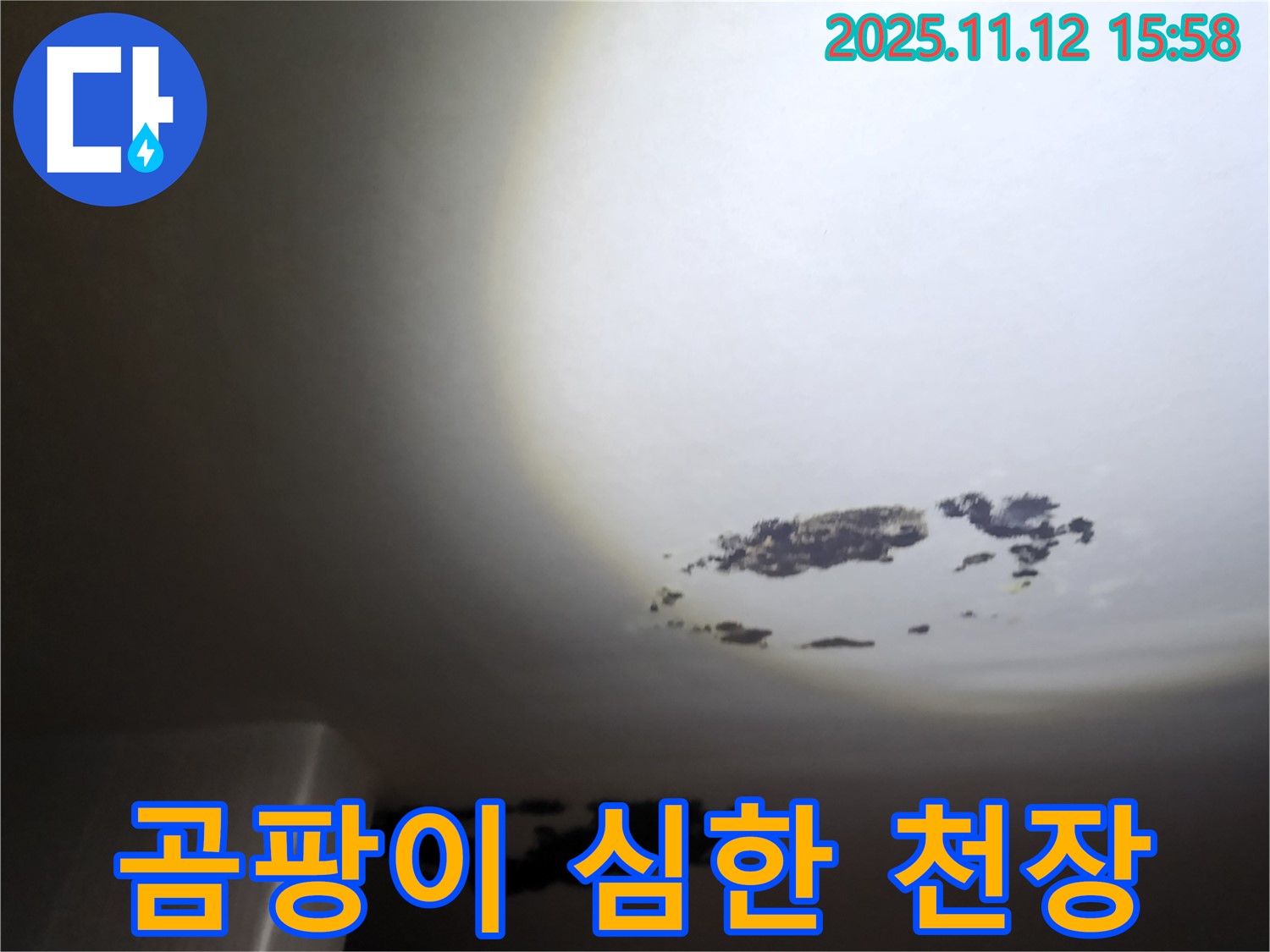 포천 구읍리 - 곰팡이가 심하게 핀 천장 누수 현장