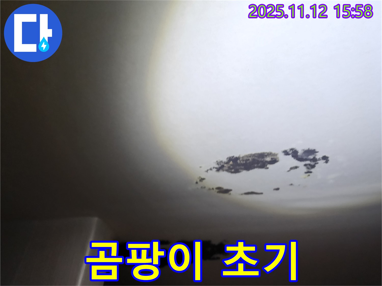 포천 구읍리 - 곰팡이가 초기 발생한 천장 누수 현장